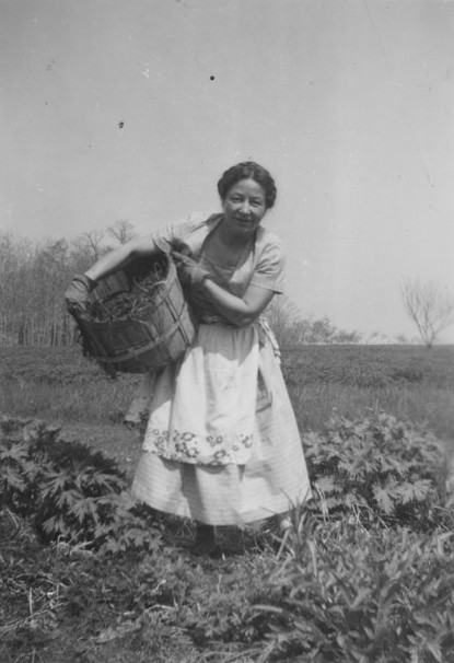 Doris McCarthy working in the garden at Fool's Paradise, 1943