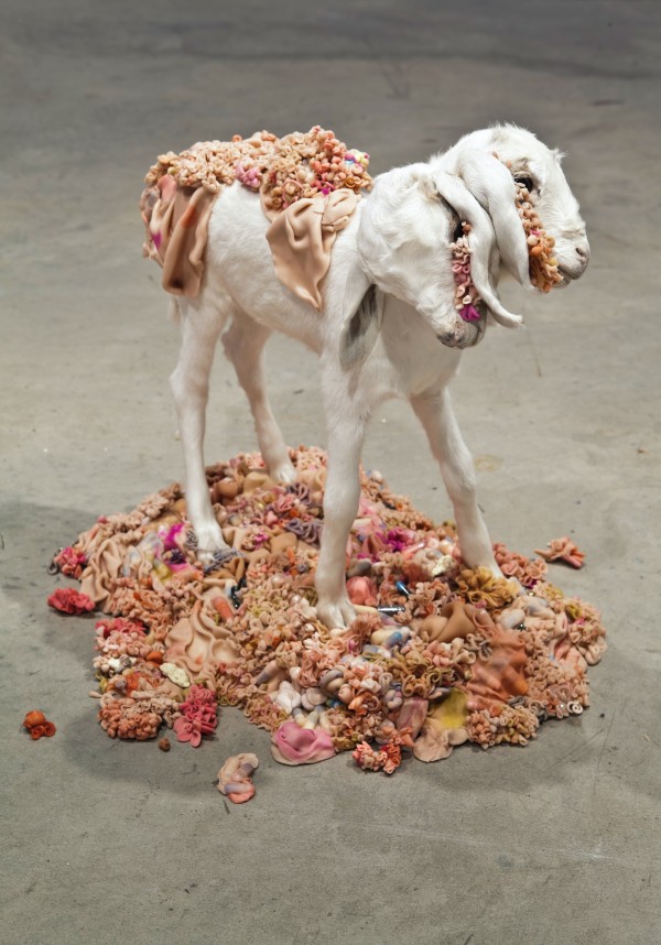 <span class='caption-artist'>Rebecca Fin Simonetti</span>, <span class='caption-title'>Tegument</span>, <span class='caption-year'>2012</span>