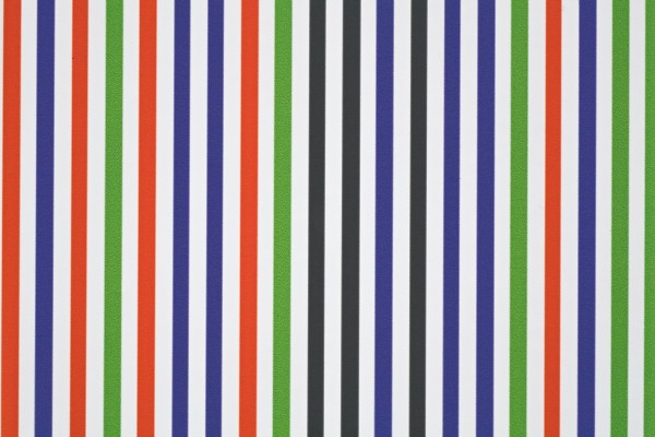 <span class='caption-artist'>Bill Burns</span>, <span class='caption-title'>DNA barcode of the Common Snipe, Gallinago gallinago</span>, <span class='caption-year'>2007</span>, <span class='caption-medium'>Detail</span>