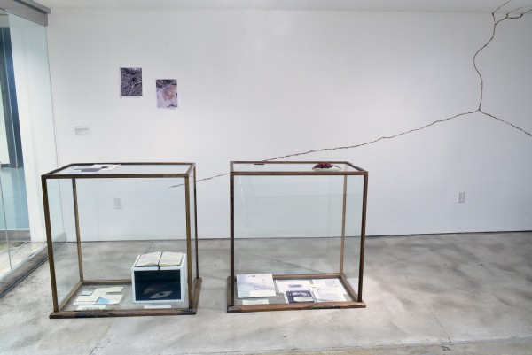 <span class='caption-artist'>for their are many stories here</span>, <span class='caption-title'>Installation view</span>, <span class='caption-year'>2017</span>