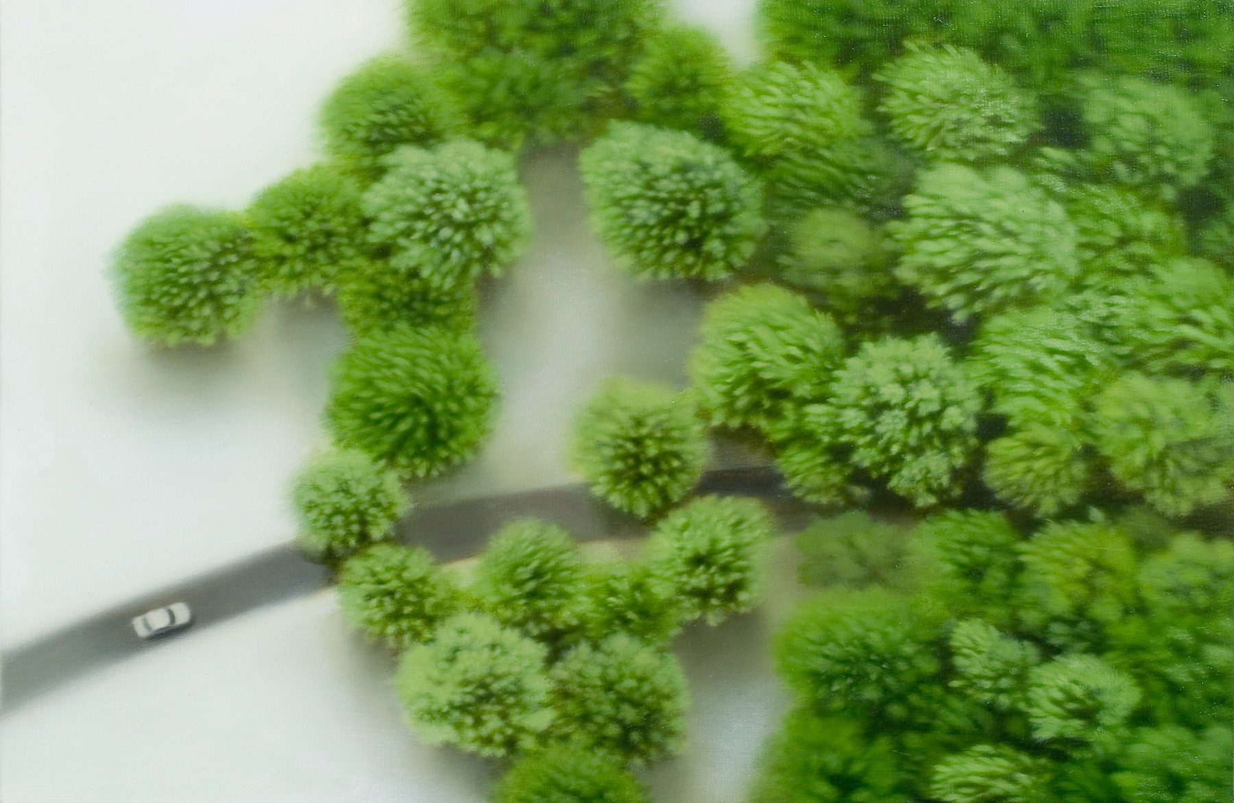 <span class='caption-artist'>Melissa Doherty</span>, <span class='caption-title'>from the Greenspace series</span>, <span class='caption-year'>2006</span>