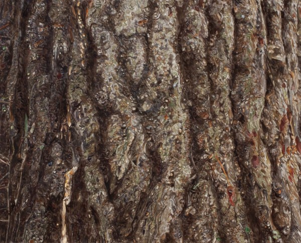 <span class='caption-artist'>Robert Wiens</span>, <span class='caption-title'>White Pine</span>, <span class='caption-year'>2005</span>