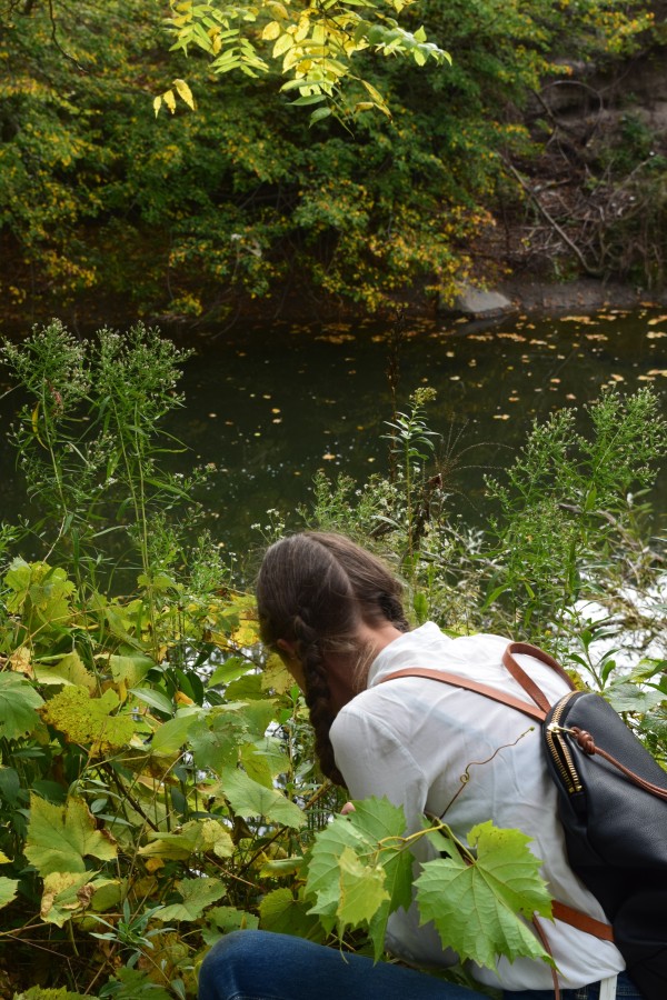 <span class='caption-artist'>Deirdre Fraser-Gudrunas and VIbrant Matter</span>, <span class='caption-title'>Parallel Field Guide</span>, <span class='caption-year'>2016</span>