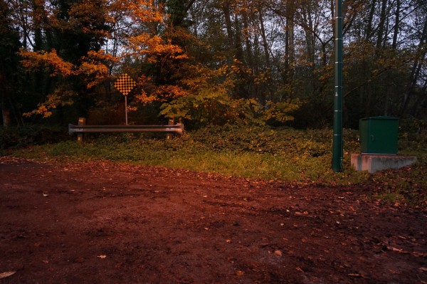 <span class='caption-artist'>Jay White</span>, <span class='caption-title'>Coyote Walk</span>, <span class='caption-year'>2016</span>