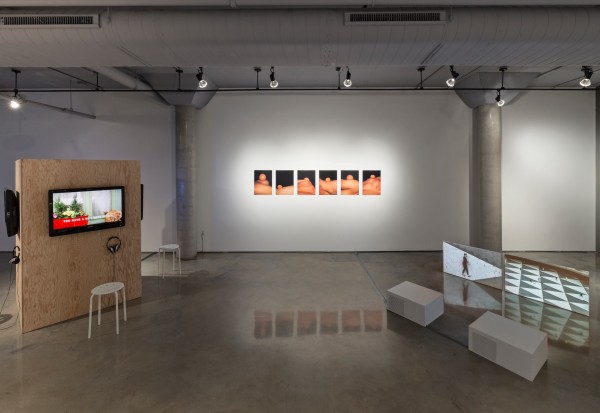 <span class='caption-artist'>TEMPERAMENTAL</span>, <span class='caption-title'>2015</span>, <span class='caption-year'>Installation view</span>