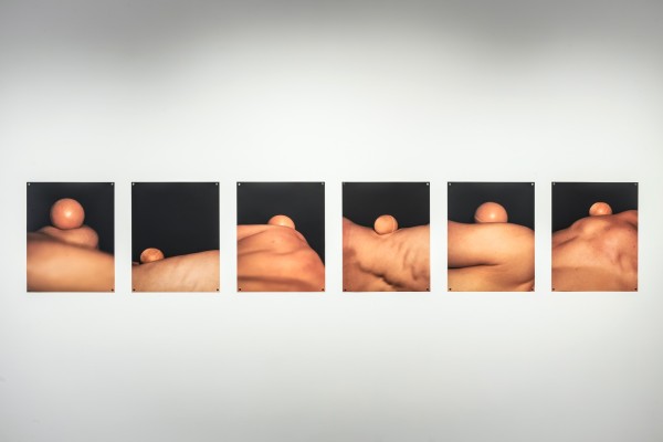 <span class='caption-artist'>Brendan Fernandes</span>, <span class='caption-title'>Still Move: I, II, III, IV, V, VI</span>, <span class='caption-year'>2014</span>, <span class='caption-medium'>Installation view</span>