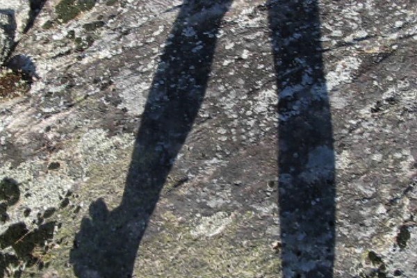 <span class='caption-artist'>Lisa Myers</span>, <span class='caption-title'>Still Here</span>, <span class='caption-year'>2009</span>, <span class='caption-medium'>Video still</span>