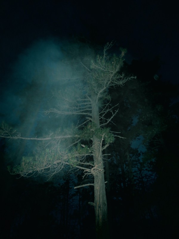 <span class='caption-artist'>Terrance Houle</span>, <span class='caption-title'>GHOST DAYS #01</span>, <span class='caption-year'>2014/2016</span>