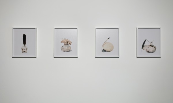 <span class='caption-artist'>Elise Rasmussen</span>, <span class='caption-title'>From the Cradle I Collect (1-4)</span>, <span class='caption-year'>2016-2017</span>