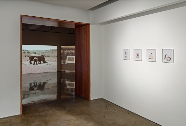 <span class='caption-artist'>With an instinct for justice</span>, <span class='caption-title'>Installation view</span>, <span class='caption-year'>2018</span>