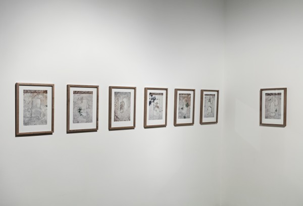 <span class='caption-artist'>Shadi Harouni</span>, <span class='caption-title'>Sunken Garden: Section 33</span>, <span class='caption-year'>2018</span>