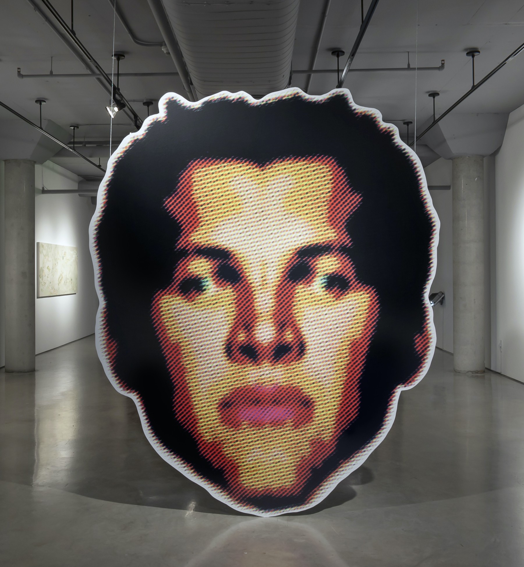 <span class='caption-artist'>Mario Schambon</span>, <span class='caption-title'>Cara Falsa</span>, <span class='caption-year'>2012/2013</span>, <span class='caption-medium'>Installation view</span>