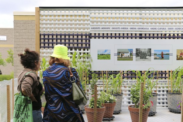 Installation view, 'CORN = LIFE' at Industrial Arts, photo by Olivia Mossuto