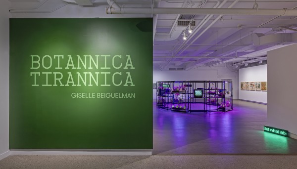 Installation view, 'Botannica Tirannica' at the Koffler Gallery