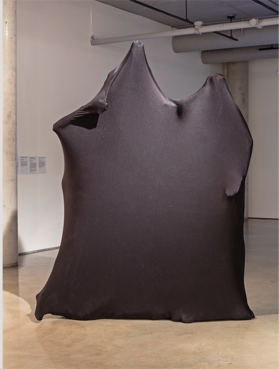 <span class='caption-artist'>Sara Hendren</span>, <span class='caption-title'>Unknown Armature: Body Socks</span>, <span class='caption-year'>2015</span>