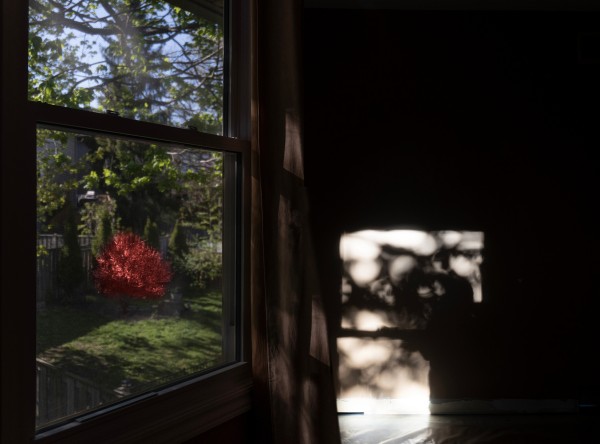 <span class='caption-artist'>Zi Yan Bai</span>, <span class='caption-title'>Lonely Bloom</span>, <span class='caption-year'>2020</span>