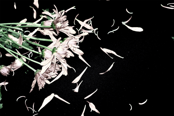 Roxy Ren, detail, Bloom, 2023, inkjet print photograph