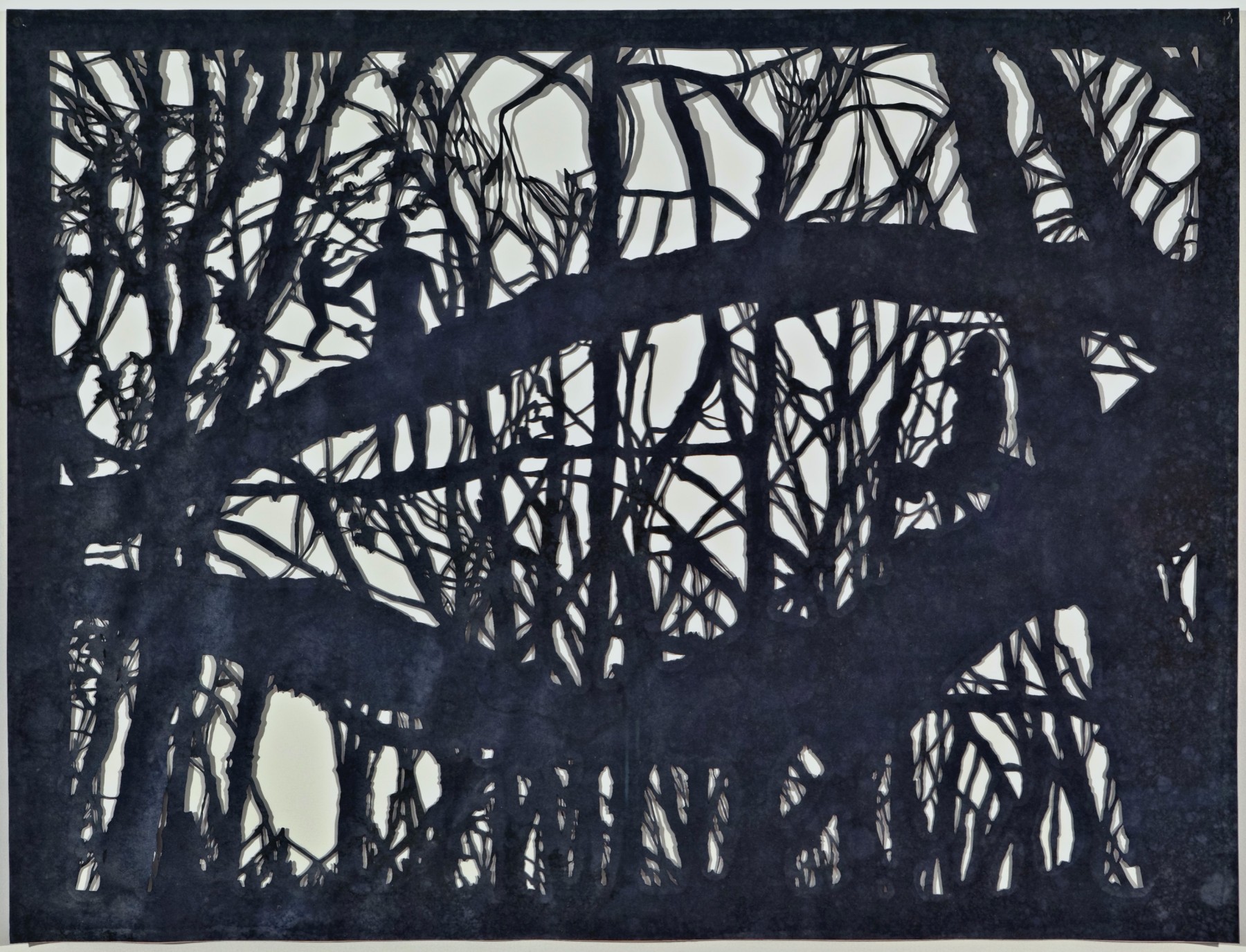 <span class='caption-artist'>Ed Pien</span>, <span class='caption-title'>Reckoning</span>, <span class='caption-year'>2010</span>, <span class='caption-medium'>Hand-cut Shoji paper on reflective laminate, ink</span>, <span class='caption-dimensions'>91.4 x 121.9 cm</span>, <span class='caption-credit'>Purchased with the assistance of the Canada Council for the Arts Acquisitions Fund, 2011</span>