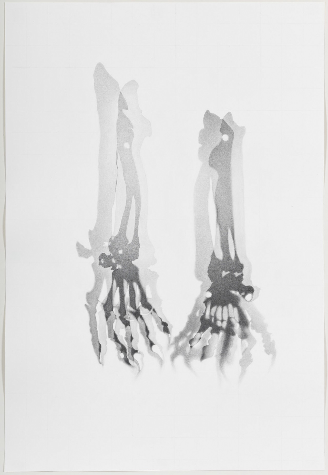 <span class='caption-artist'>Lorraine Simms</span>, <span class='caption-title'>Ursus maritimus</span>, <span class='caption-year'>2019</span>